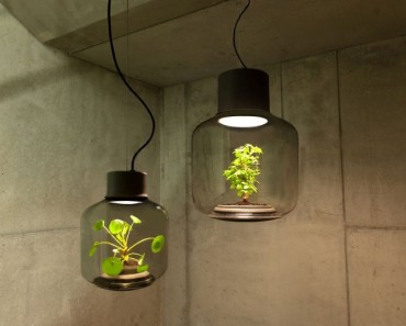 Lampa Proiectata Sa Creasca Plante In Spatii Fara Ferestre