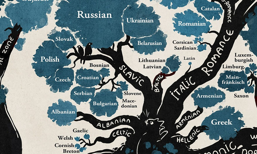 Limbile Indo-Europene Si Uralice. Un Uimitor Infografic Arbore 1